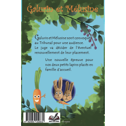 2- Galurin et Mélusine sont convoqués au tribunal